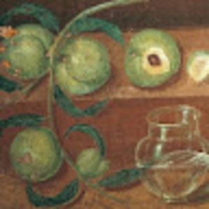 Meet your Posher, Romy